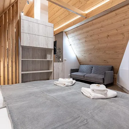 Trawers Apartment Zakopane